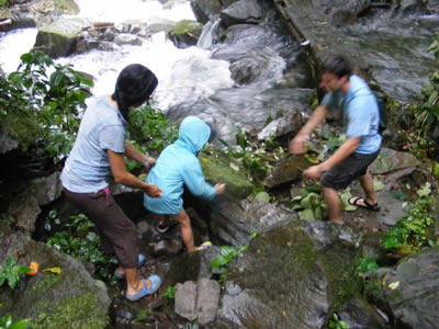 Waterfall
