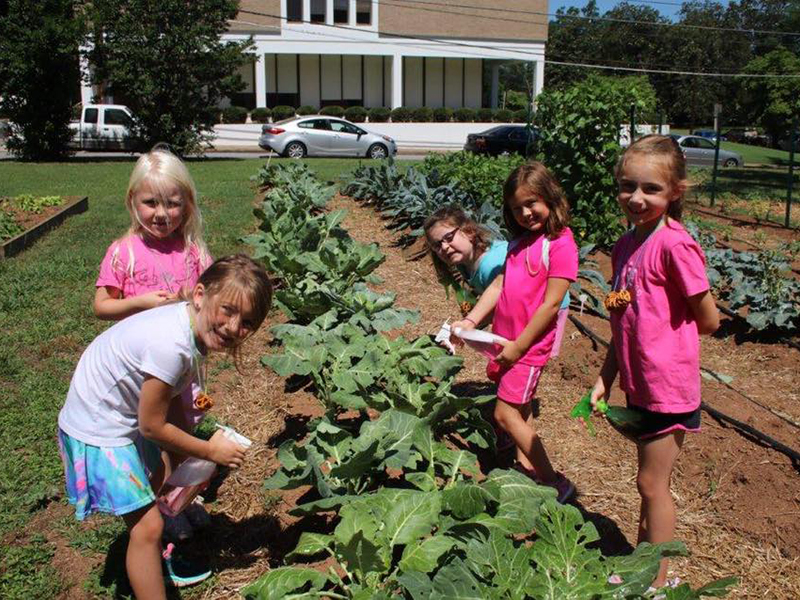 one community garden
