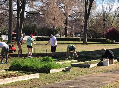 one community garden