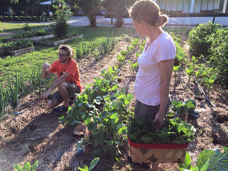 garden work